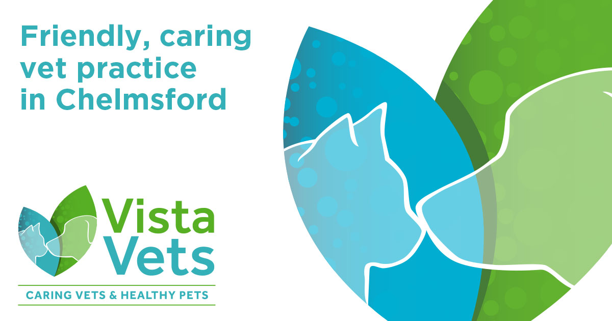 Contact Vista Vets your trusted local vet 01376 786 732 Vista Vets