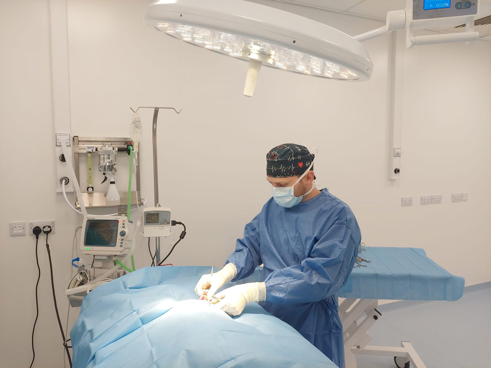 Dr. Peter Brigant performing surgery