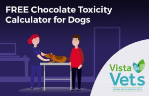 Chocolate Toxicity Calculator for Dogs | Vista Vets Chelmsford