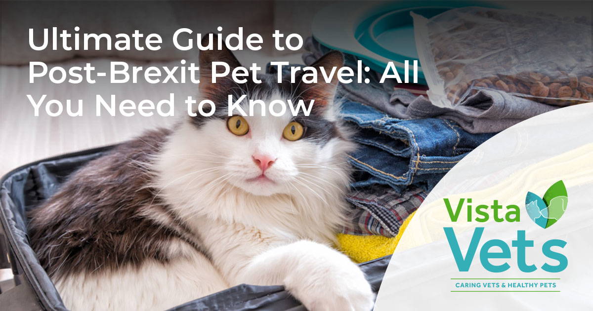 Ultimate Guide to PostBrexit Pet Travel All You Need to Know Vista Vets