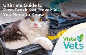 Ultimate Guide to Post-Brexit Pet Travel: All You Need to Know