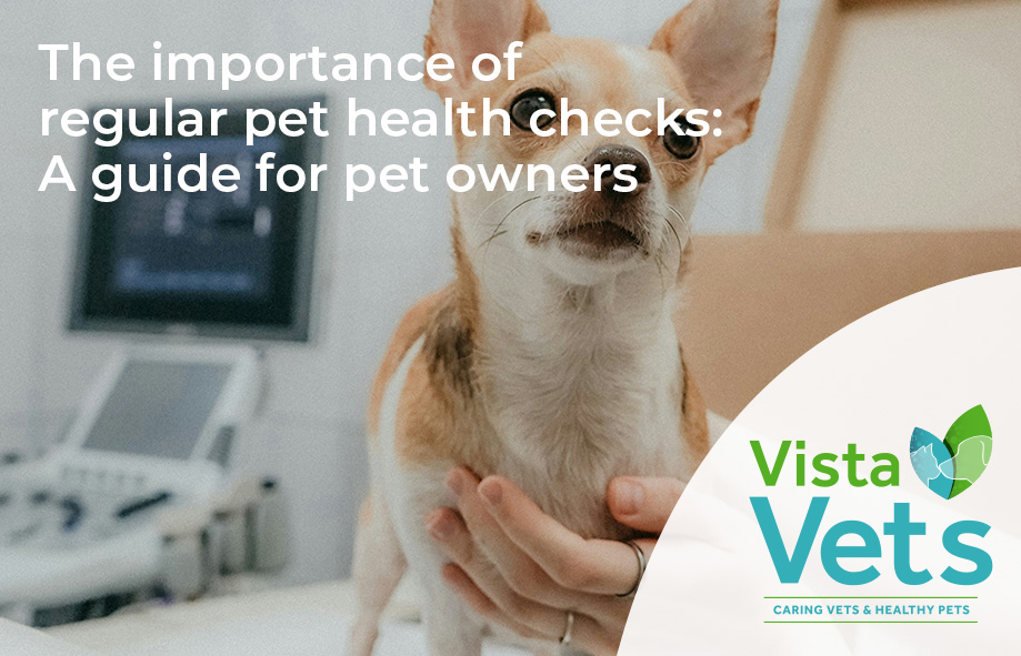 The importance of regular pet health checks: A guide for pet owners