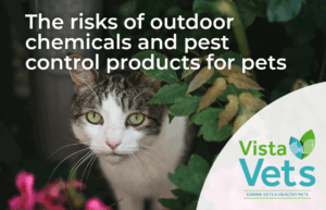 The risks of outdoor chemicals and pest control products for pets | Vista Vets