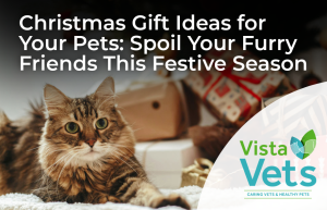 Christmas gift ideas for your pets | Vista Vets