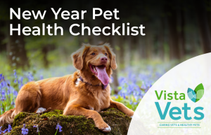 New Year pet health checklist | Vista Vets