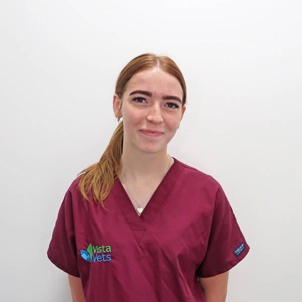 vista-vets-in-chelmsford-meet-the-team-Maisie